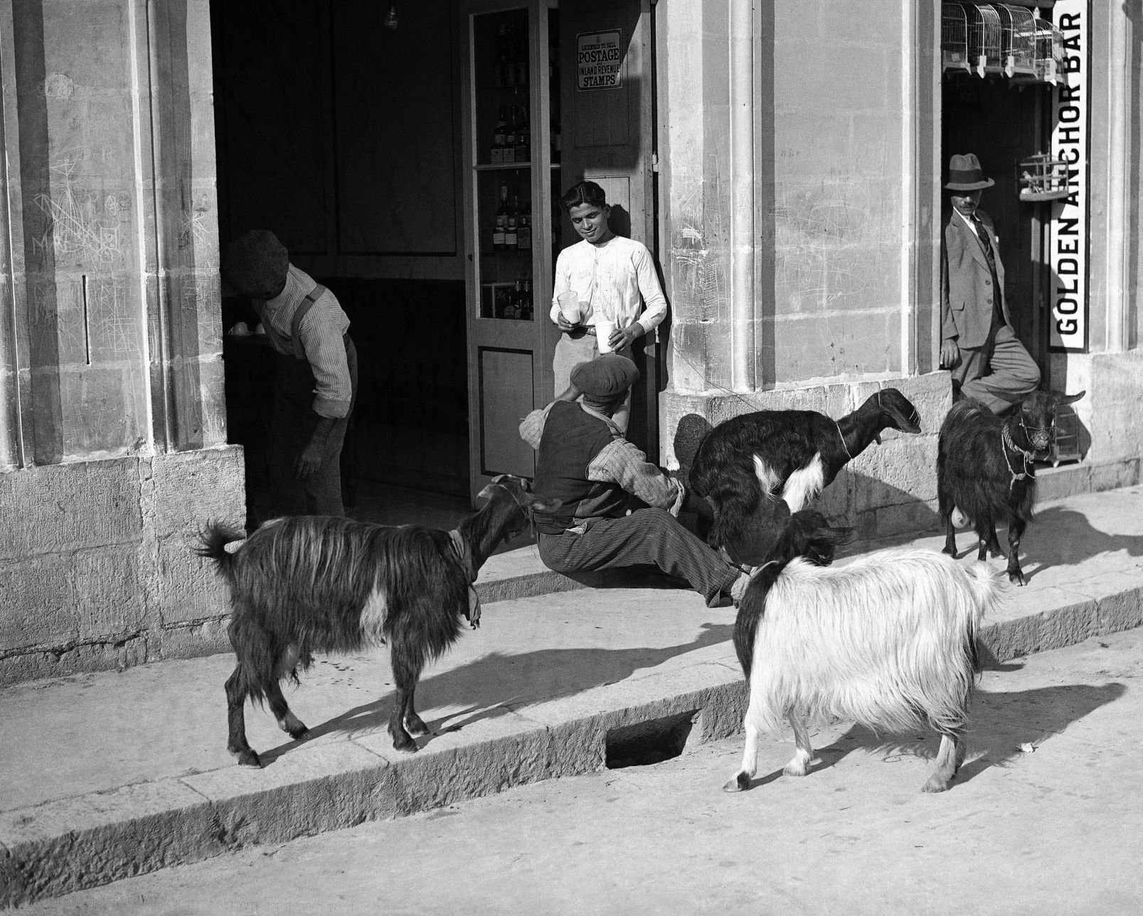 1932: Malta Goat Milk Deliveries